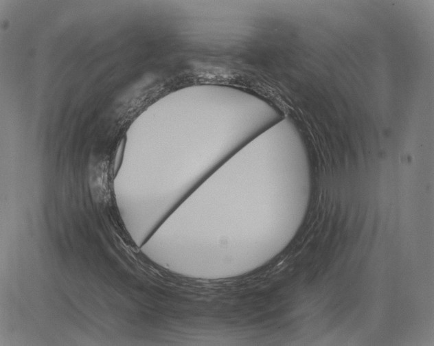 X0000080751396200701021019