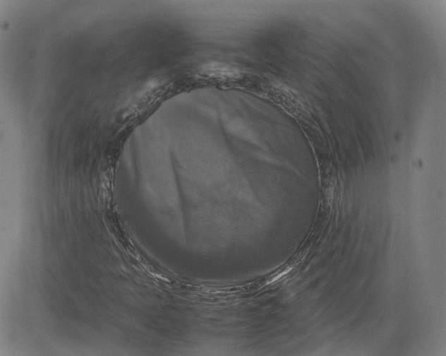 X0000080751397200701021019