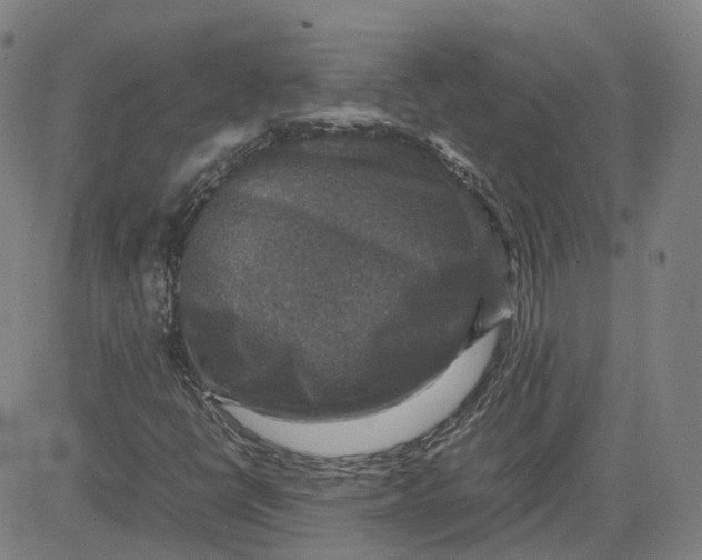 X0000080751398200701021019
