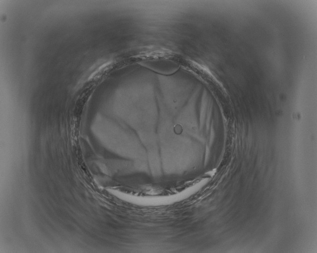 X0000080751399200701021019