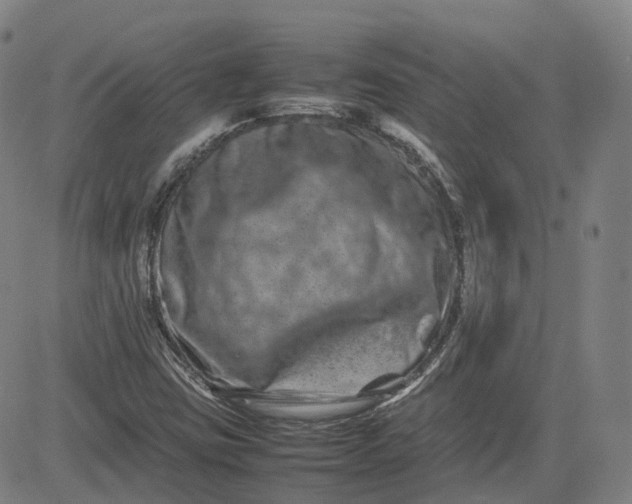 X0000080751403200701021019
