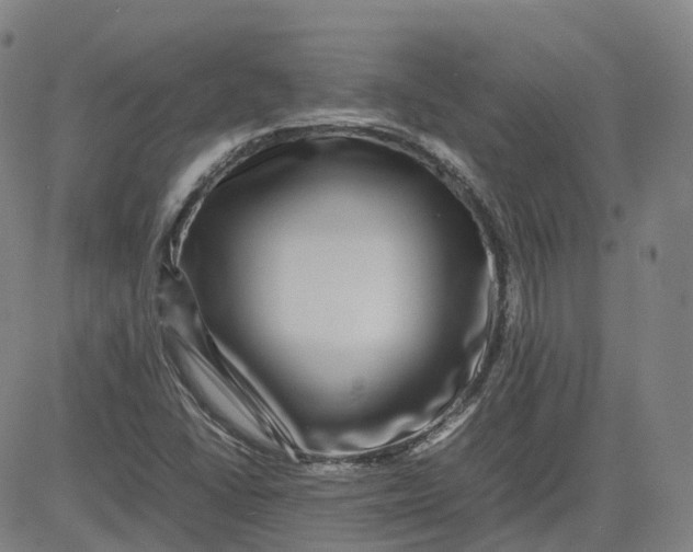X0000080751406200701021019