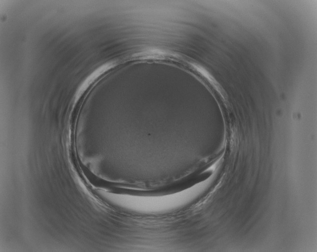X0000080751418200701021019