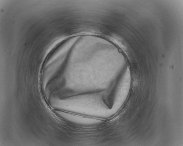 X0000080751423200701021019