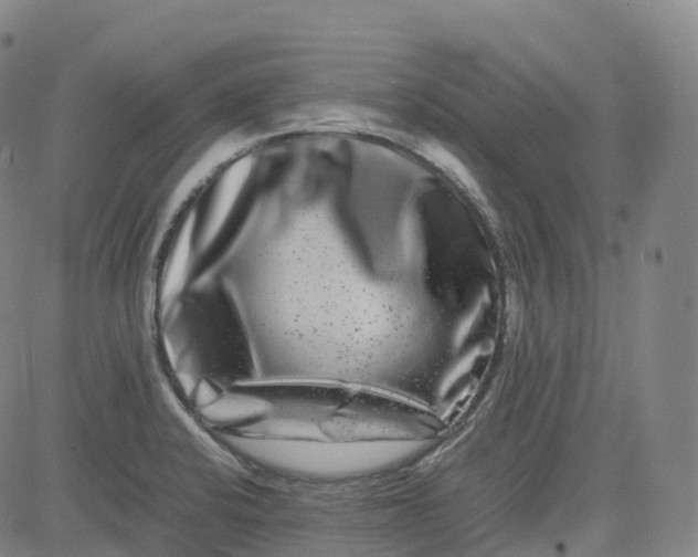X0000080751424200701021020