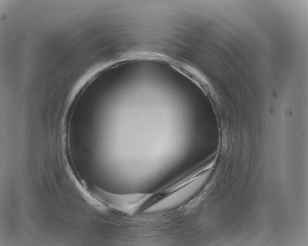 X0000080751430200701021020