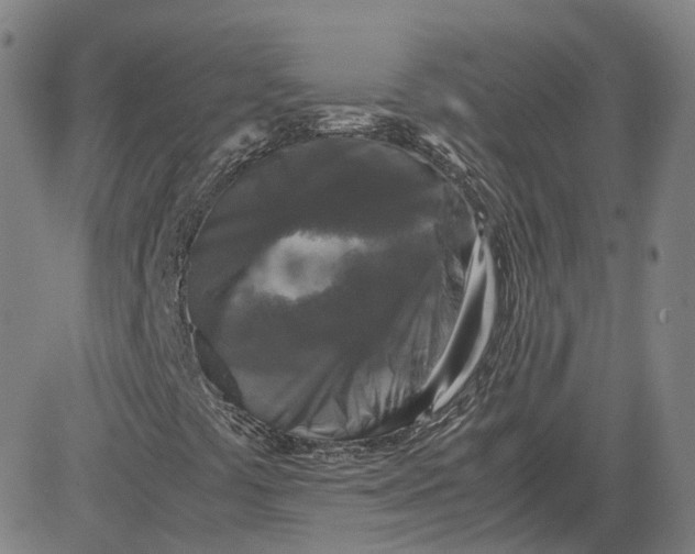 X0000080751441200701021019