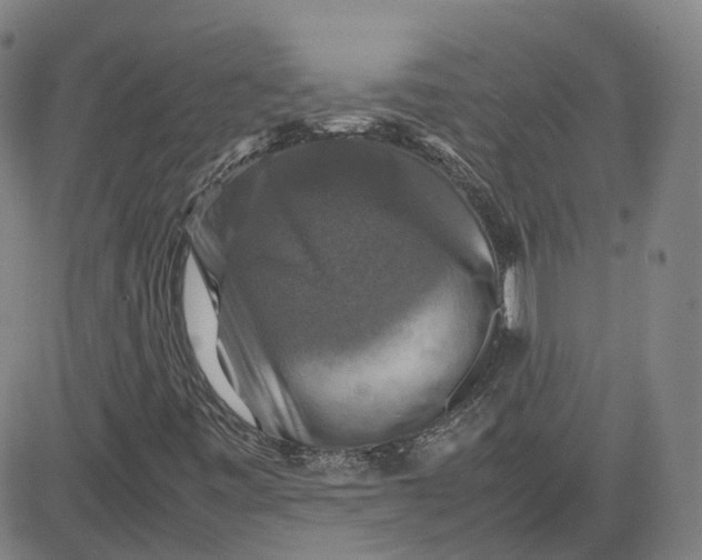 X0000080751443200701021019
