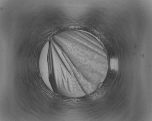 X0000080751444200701021019