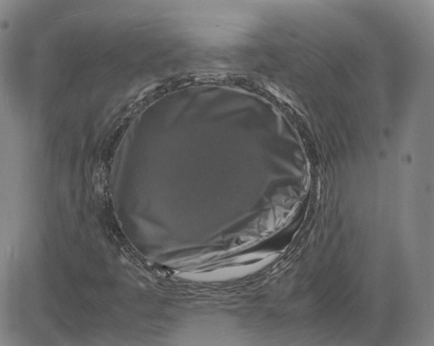 X0000080751445200701021019