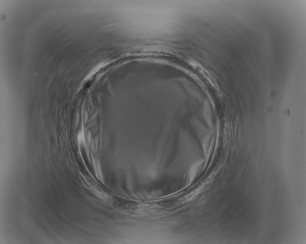 X0000080751449200701021019