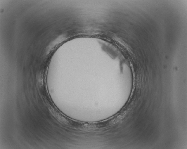 X0000080751451200701021019