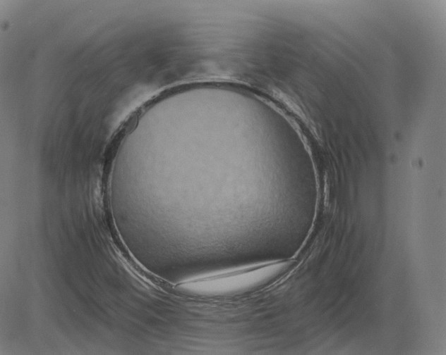 X0000080751452200701021019