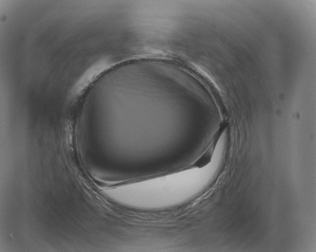 X0000080751455200701021019