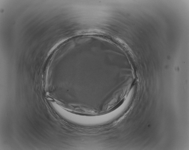 X0000080751457200701021019