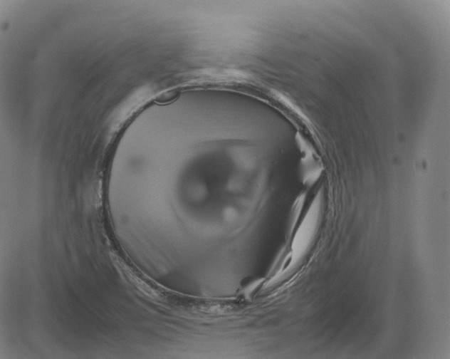 X0000080751459200701021019