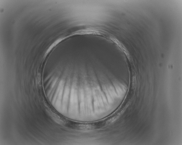 X0000080751465200701021019