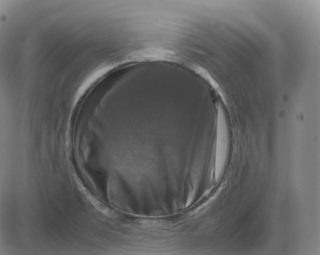 X0000080751469200701021019