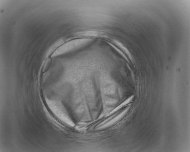 X0000080751475200701021018