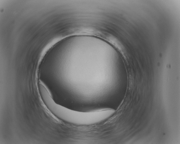 X0000080751480200701021018