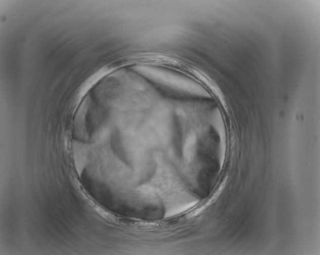 X0000080751481200701021018