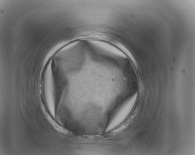 X0000080751485200701021018