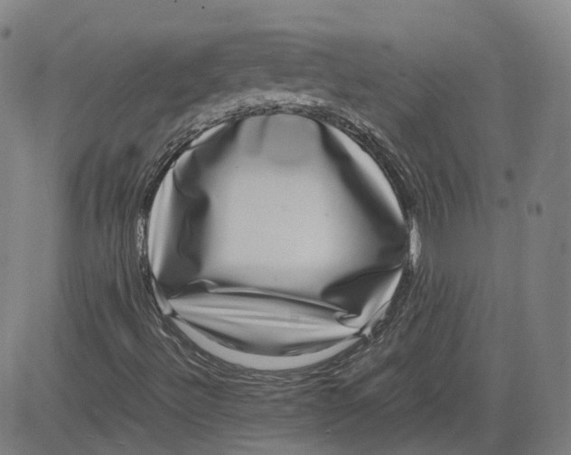 X0000080751492200701021017