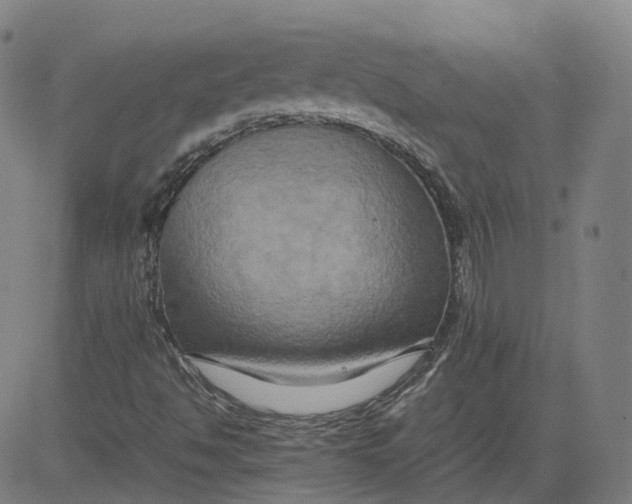 X0000080751494200701021018