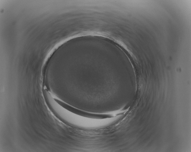X0000080751508200701021018