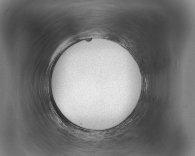 X0000080750004200701051222