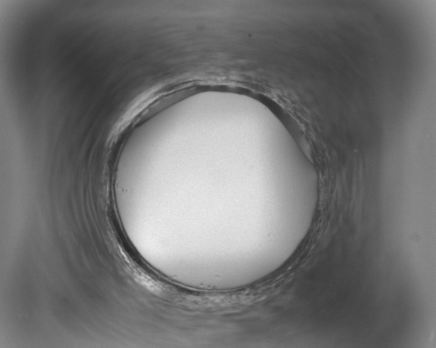 X0000080750005200701051222