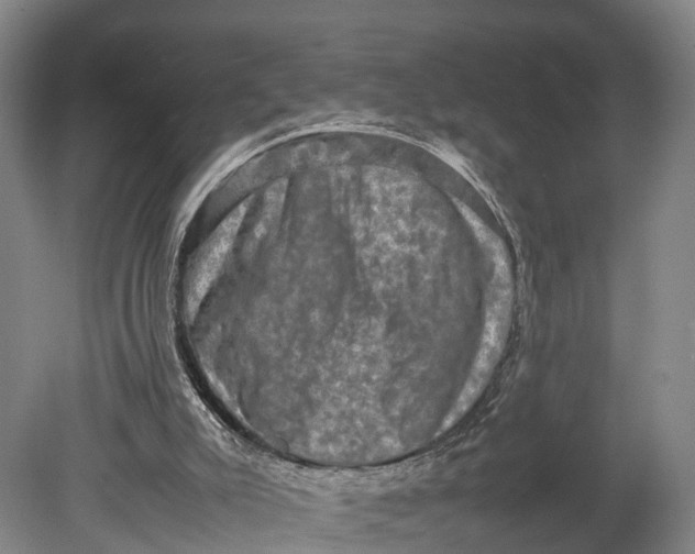 X0000080750007200701051222