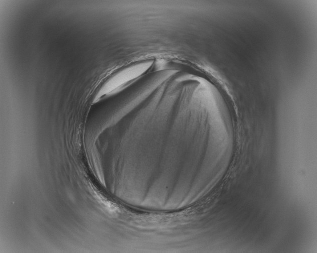 X0000080750009200701051222