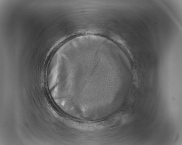 X0000080750012200701051222