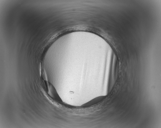 X0000080750013200701051222