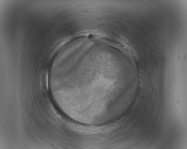 X0000080750014200701051222