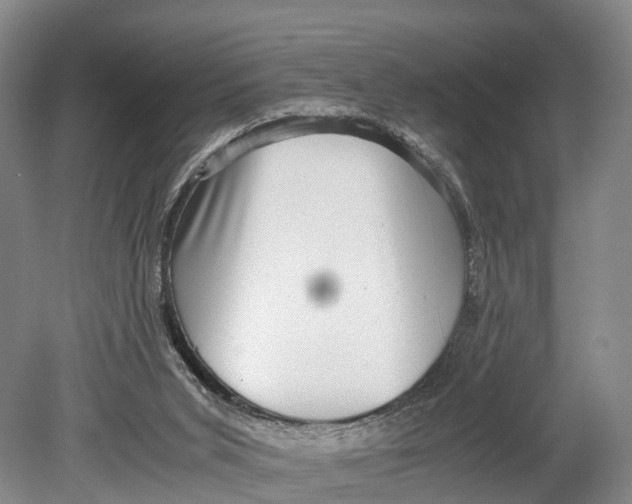 X0000080750015200701051222