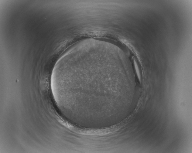 X0000080750017200701051222