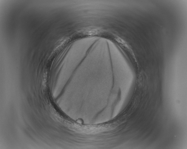 X0000080750018200701051222