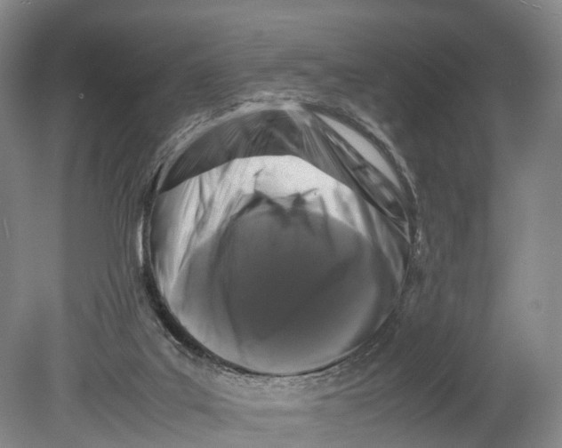 X0000080750019200701051222