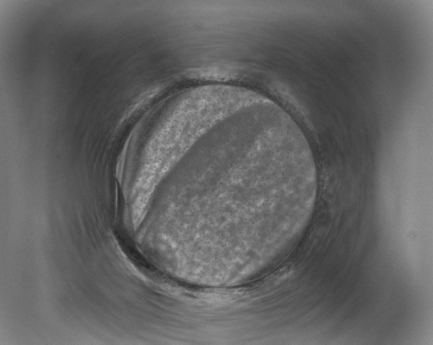 X0000080750020200701051222