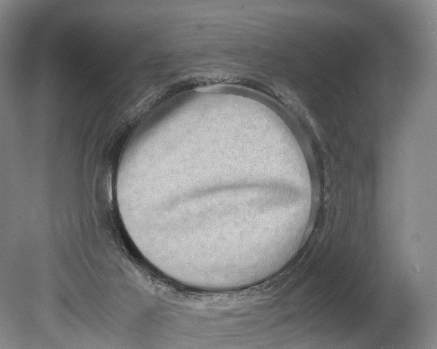 X0000080750021200701051222