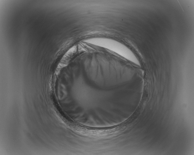 X0000080750023200701051222