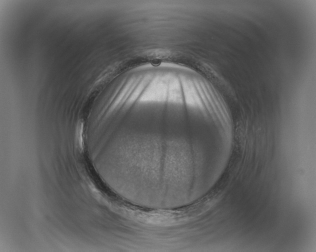 X0000080750024200701051222