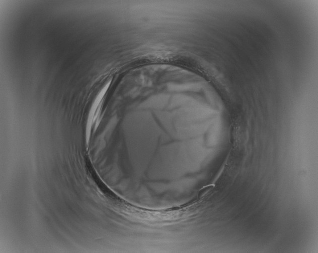 X0000080750027200701051222