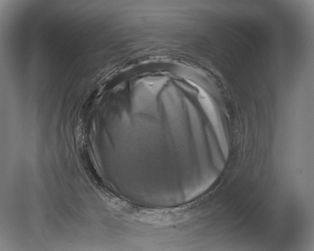 X0000080750029200701051222