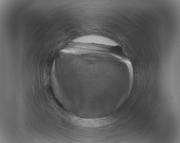 X0000080750030200701051222