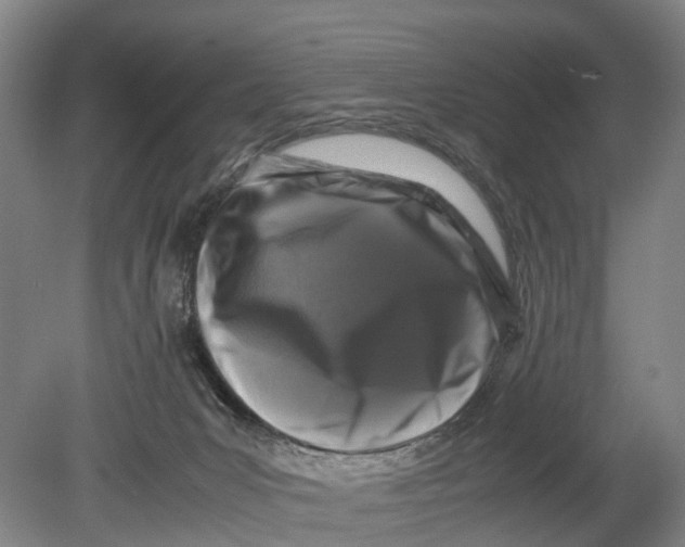 X0000080750031200701051222