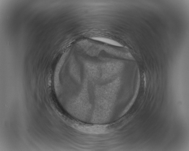 X0000080750032200701051222