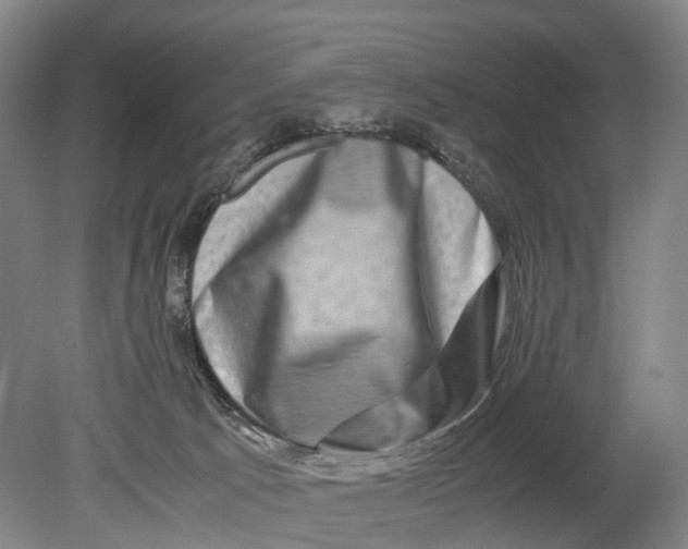 X0000080750033200701051222